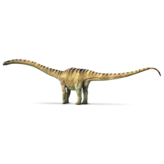 🦖 dinosauro, sauropode, collo lungo, erbivoro telegram sticker