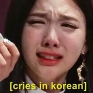 🥺 [cries in korean] llorando, coreano, meme, triste, lágrimas whatsapp sticker