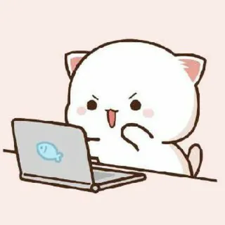 🍓 kucing, laptop, marah, lucu, kartun whatsapp sticker