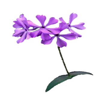 🌸 Blume, lila, Blütenblatt, Pflanze, Natur telegram sticker