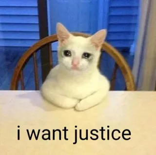 🏵 i want justice kot, smutny, sprawiedliwość, mem, zwierzę telegram sticker