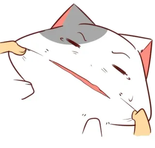 😒 猫, 脸, 表情, 搞笑, 可爱, 表情包 whatsapp sticker