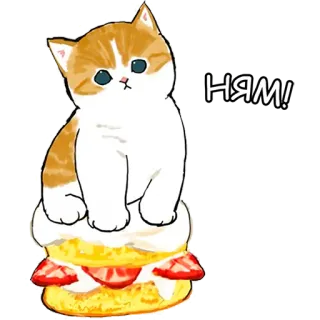 😌 Ням! 猫, 蛋糕, 草莓, 可爱, 动物 whatsapp sticker