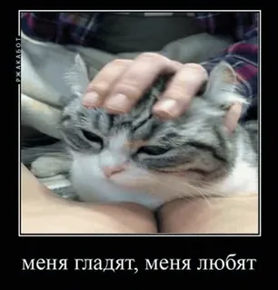 Демотиваторы whatsapp stickers
