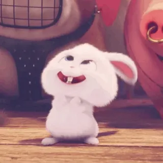 ☁️ Snowball The Secret Life of Pets lapin, lapinou, animal, mignon, dessin animé, animal de compagnie whatsapp sticker