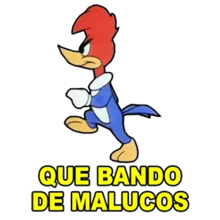 🚶‍♂ Woody Woodpecker QUE BANDO DE MALUCOS Desenho animado, Woody Woodpecker, Pássaro, Bravo, Insulto telegram sticker