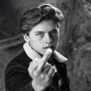 🗝 средний палец, оскорбительный жест, грубый, портрет telegram sticker