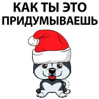 😕 КАК ТЫ ЭТО ПРИДУМЫВАЕШЬ dog, husky, santa hat, cartoon, question, russian, sticker telegram sticker
