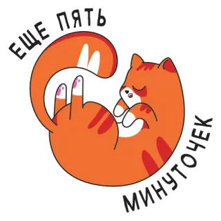 😴 ЕЩЕ ПЯТЬ МИНУТОЧЕК cat, middle finger, rude, sleepy, lazy telegram sticker