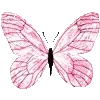 🦋
