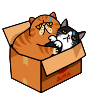 😶 みかん кошки, коробка, мультфильм, животные, милый, рыжий кот, черно-белый кот whatsapp sticker