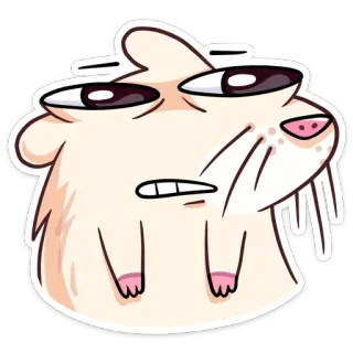 😡 แฮมสเตอร์, สัตว์, ตลก, มีม, น่ารัก, สติกเกอร์ telegram sticker