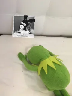 😍 Kermit Dangerous Woman DANGEROUS WOMAN кермит, ариana grande, dangerous woman, мем, плюш telegram sticker