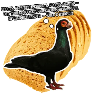 🍞 ЗЛОСТЬ, АГРЕССИЯ, РЕВНОСТЬ, ЯРОСТЬ, ОБИДЫ - ЭТО ТОЛЬКО КАЖЕТСЯ ПРЕДЕЛОМ НЕНАВИСТИ - ПРЕДЕЛ НЕНАВИСТИ - ХЛЕБ С ИЗЮМОМ 鸽子, 面包, 贴纸, 鸟, 幽默, 文字, 食物 whatsapp sticker