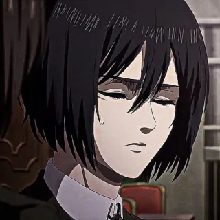 ❕ Mikasa Ackerman Attack on Titan 动漫, 进击的巨人, 三笠, 伤心, 角色, 漫画 telegram sticker