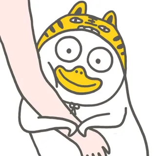😗 животное, утка, мультфильм, милый, шапка тигра whatsapp sticker