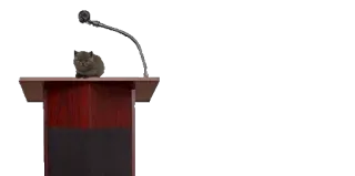 😶 gato, pódio, microfone, orador, animal telegram sticker