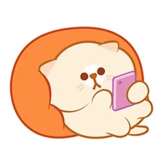 ⭐ kat, dier, telefoon, cartoon, schattig whatsapp sticker