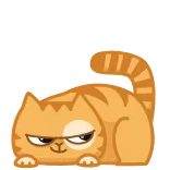 😼 chat, orange, animal, autocollant, dessin animé whatsapp sticker