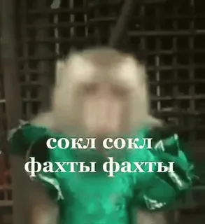 👍 сокл сокл
фахты фахты whatsapp sticker