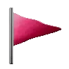 🚩