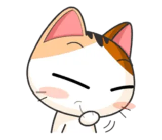 😂 cat, cute, animal, sticker telegram sticker