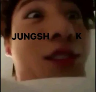 🌟 JUNGSH K telegram sticker