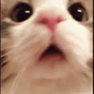 😯