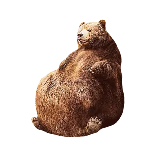 🍰 bear, animal, wildlife, mammal, nature telegram sticker