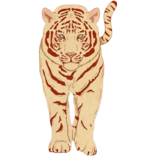 ✨ tiger, white tiger, animal, cat, wildlife, Bengal tiger telegram sticker