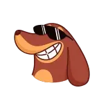 😎 hond, cartoon, bril, dier, cool, sticker telegram sticker