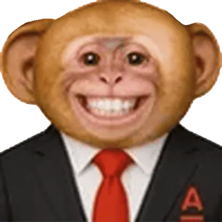 🐵