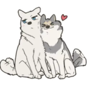 ❤ anjing, husky, cinta, hati, binatang, imut, kartun telegram sticker