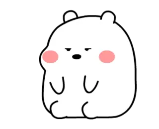✨ ours, mignon, dessin animé, animal, ours blanc, autocollant whatsapp sticker