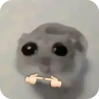 🧸 hamster, animal, mignon, doigts, timide, mème telegram sticker