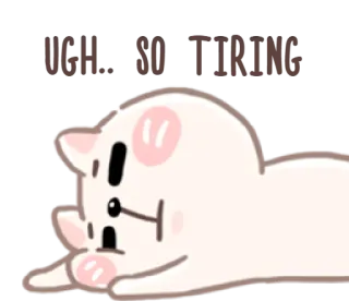 🥴 KIL D'OH! Katze, Aufkleber, niedlich, lustig, Cartoon whatsapp sticker