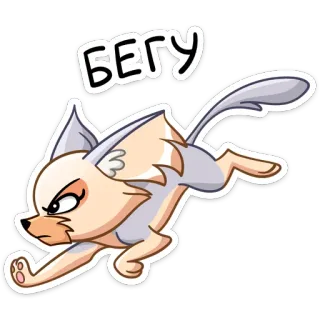 🏃‍♂️ БЕГУ gato, corriendo, animal, dibujos animados, enojado, divertido telegram sticker