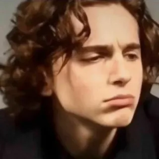 🦇 Timothée Chalamet actor, celebridad, Timothée Chalamet, hombre, retrato telegram sticker