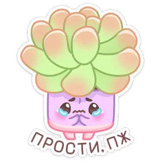 🥺 ПРОСТИ. ПЖ грустный, плачущий, суккулент, растение, каваий, милый, извинение whatsapp sticker