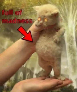 😡 full of madness котёнок, кот, безумие, юмор, смешной telegram sticker