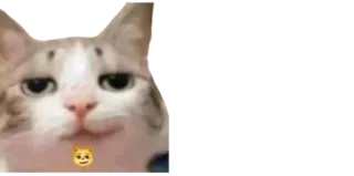 😏 gato, emoji, arrogante, gatinho telegram sticker