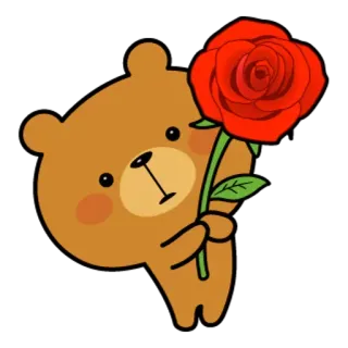 🌹 orso, cartone animato, rosa, animale, fiore, carino, orsetto telegram sticker