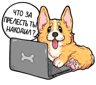 💩 ЧТО ЗА ПРЕЛЕСТЬ ТЫ НАКОДИЛ? корги, собака, ноутбук, милый, животное, русский, пузырь речи, мультфильм whatsapp sticker