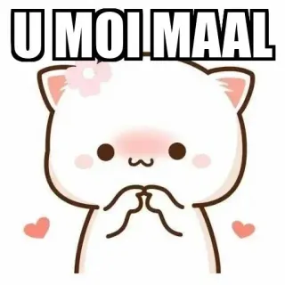 ⚜ U MOI MAAL chat, mignon, kawaii, animal, dessin animé whatsapp sticker