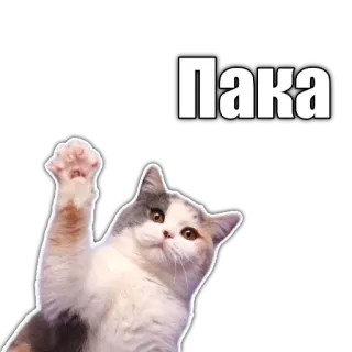 👋 Пака cat, cute, wave, russian telegram sticker