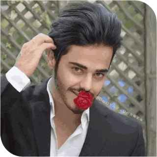 🌹 telegram sticker