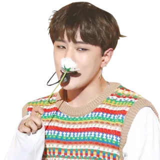 🌸 kpop, hoa, người, chân dung, nụ cười, thẩm mỹ telegram sticker