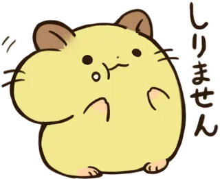 😗 しりません hamster, cute, animal, japanese, text, sticker telegram sticker