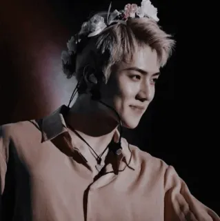 🕸 Sehun K-pop, singer, idol, male, portrait, flowers telegram sticker
