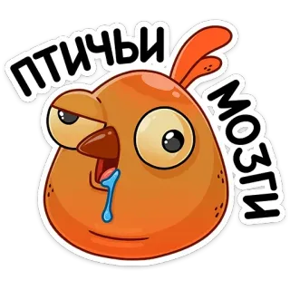 🤤 ПТИЧЬИ МОЗГИ pájaro, animal, dibujos animados, ruso, estúpido telegram sticker